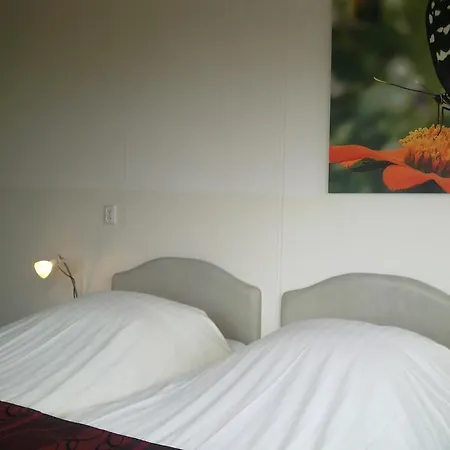 Savoy Hotel 3*